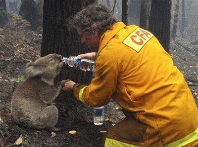 australia_wildfires_mel101.jpg